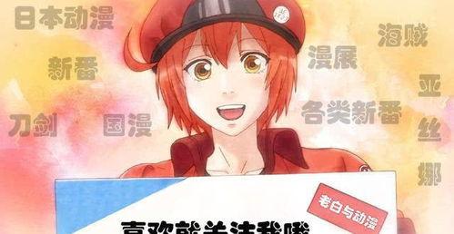 日本羞羞动漫,揭秘成人世界的隐秘角落